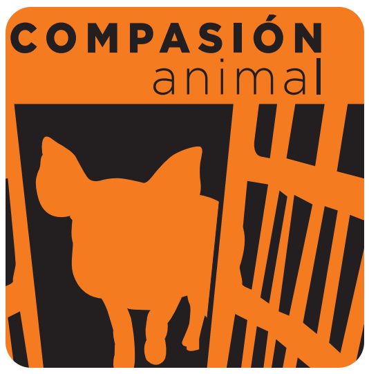Compasion Animal, únete a la causa