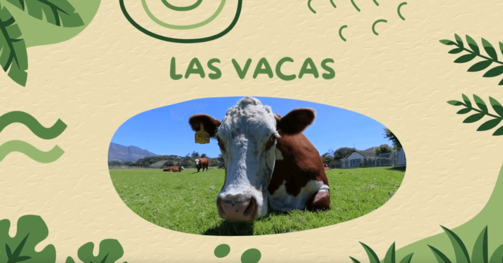 Aprendiendo sobre el cerebro: Las vacas