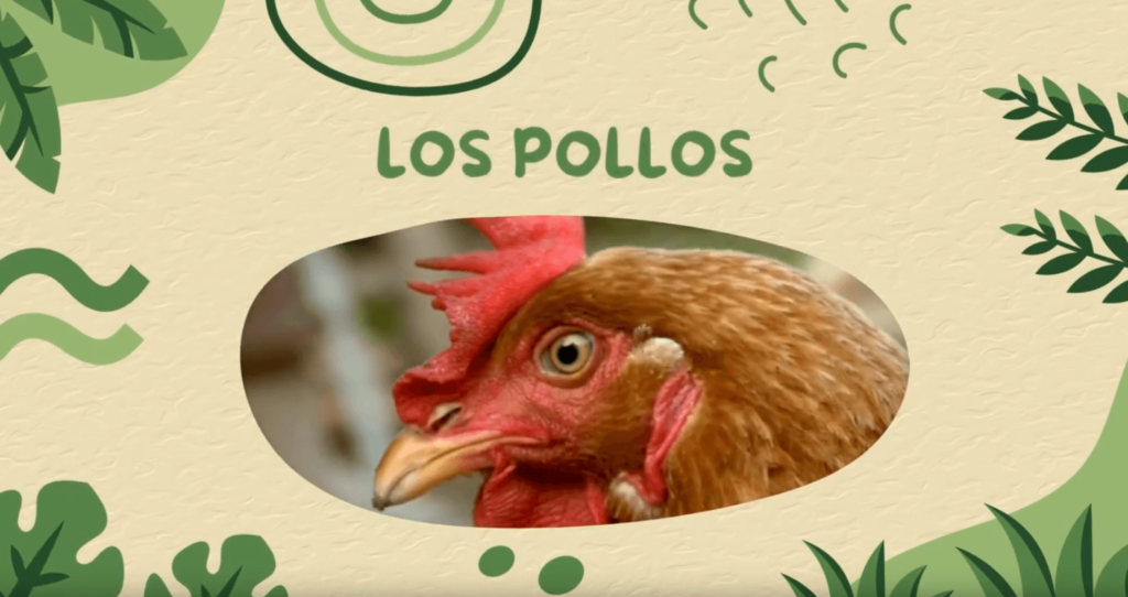 Aprendiendo sobre el cerebro: Los Pollos