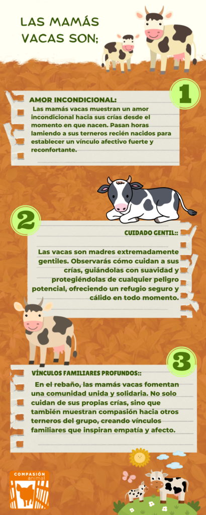 Datos sobre las vacas que deberías saber